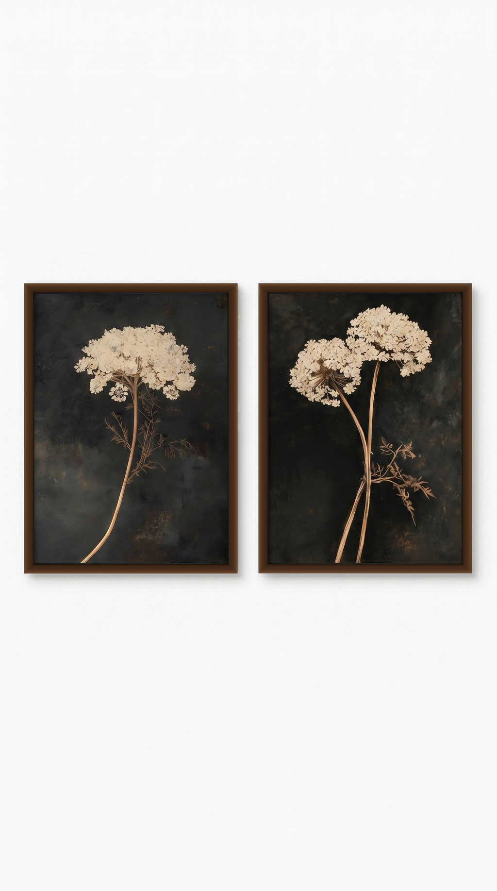 lo7at-reframe|cw=default|frame=brown