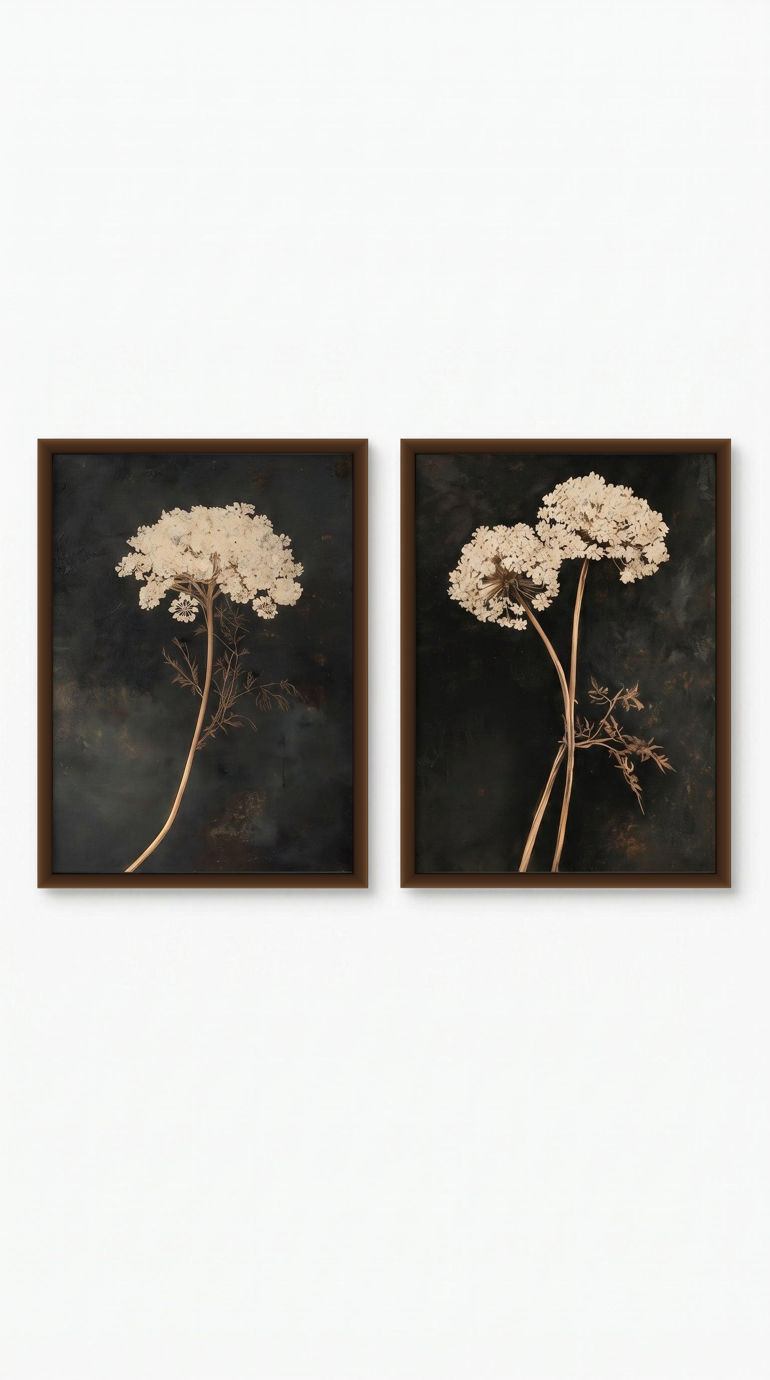 lo7at-reframe|cw=default|frame=brown