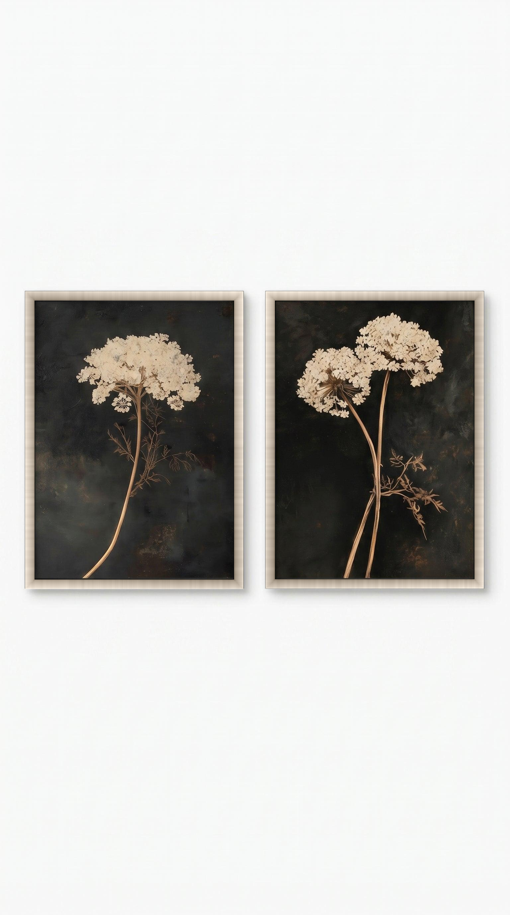 lo7at-reframe|cw=default|frame=champagne