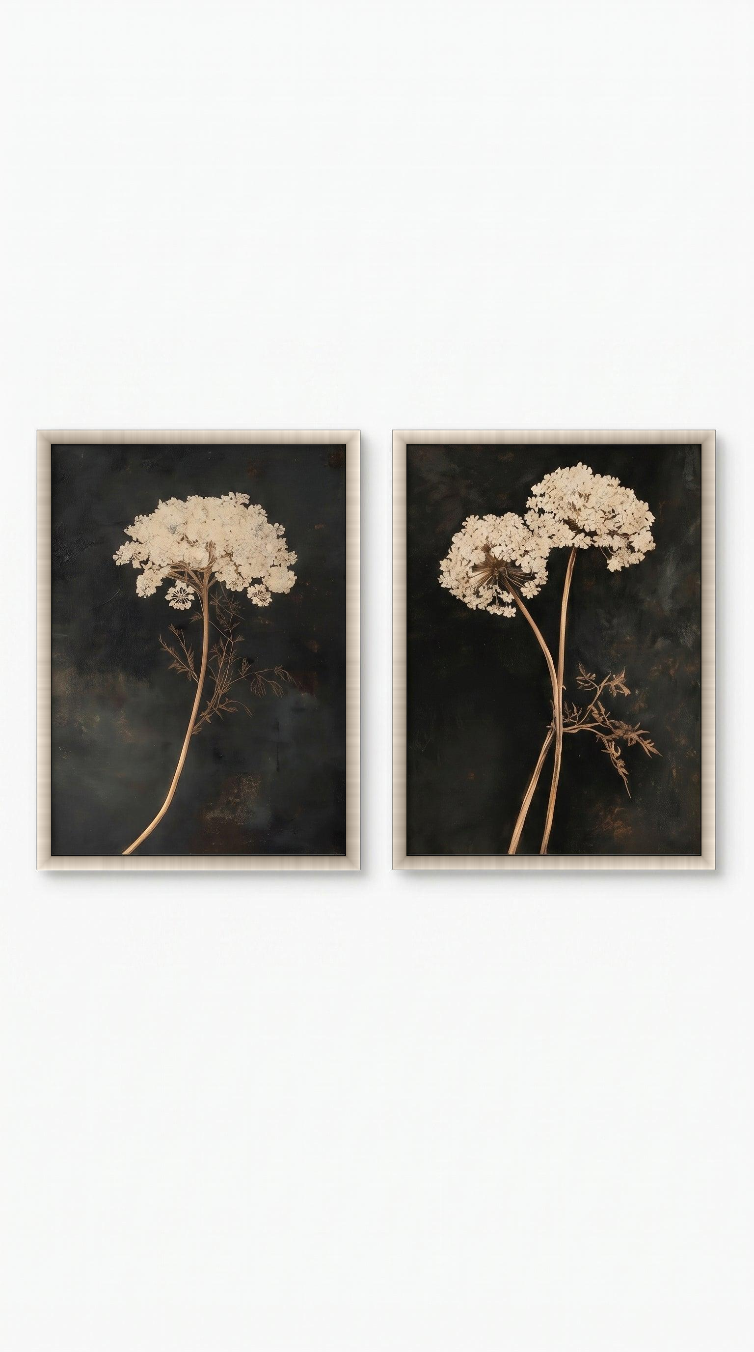 lo7at-reframe|cw=default|frame=champagne