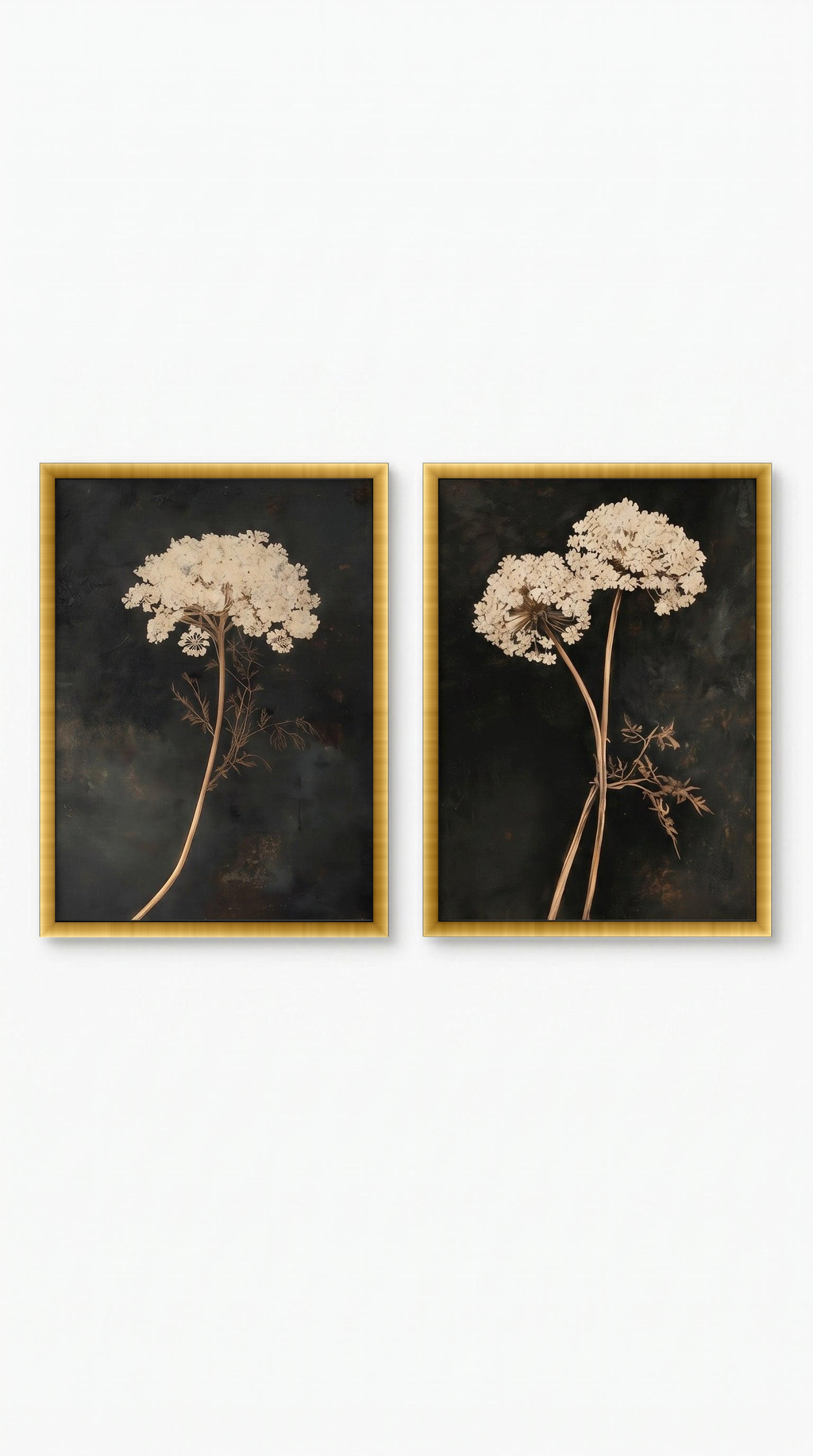 lo7at-reframe|cw=default|frame=golden