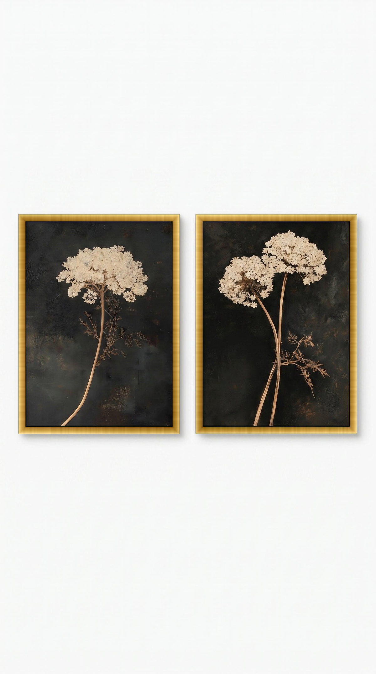 lo7at-reframe|cw=default|frame=golden