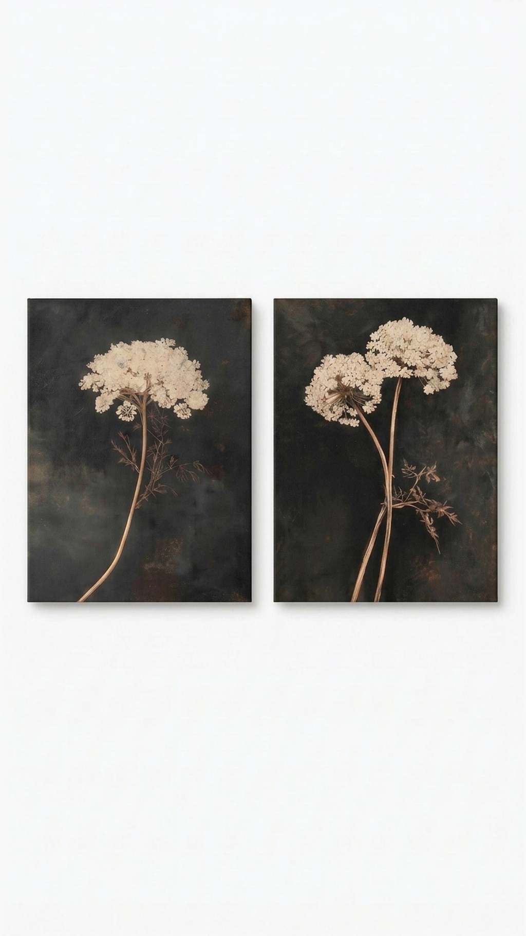 lo7at-reframe|cw=default|frame=unframed