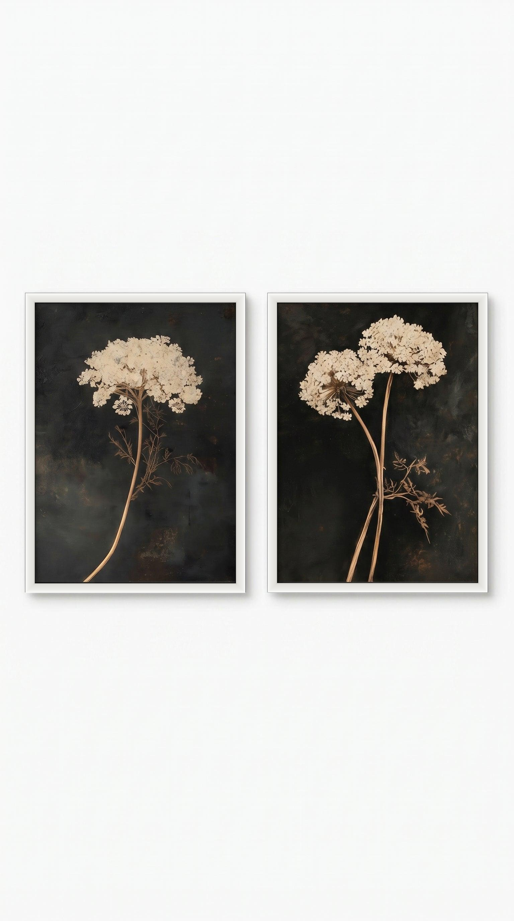 lo7at-reframe|cw=default|frame=white