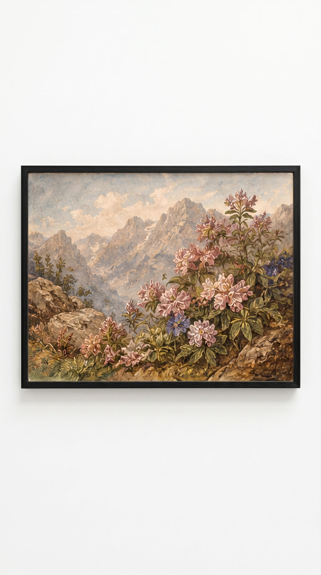 Mountain Blooms