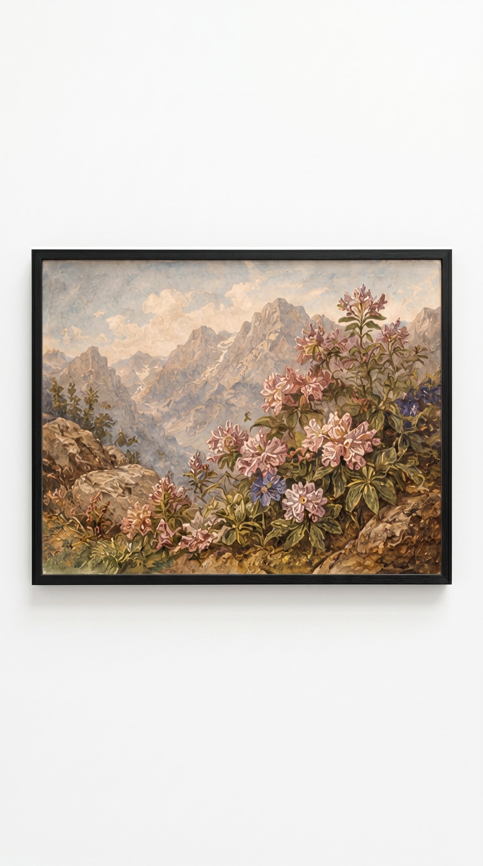 Mountain Blooms
